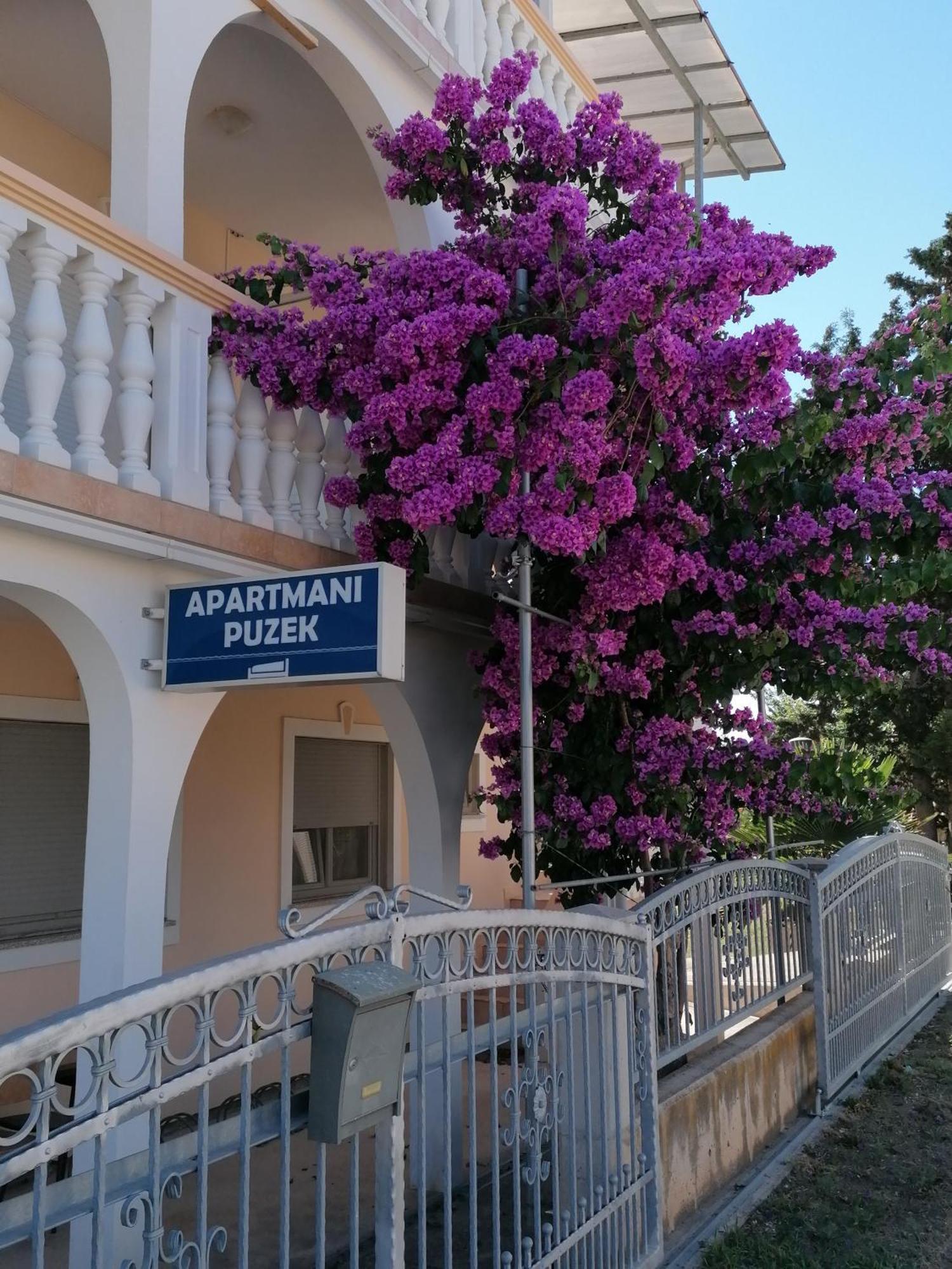 Apartmani Puzek Bibinje Buitenkant foto
